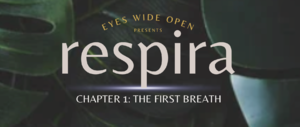 🌿✨ Respira: Elevated Sensory Experience 🌿✨