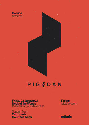 Collude Presents - Pig&Dan photo