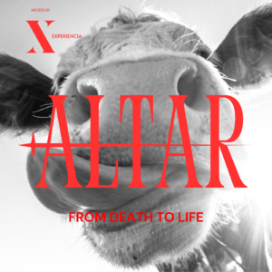 ALTAR by Una Experiencia X