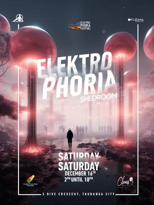 ELEKTROPHORIA SHEDROOM photo