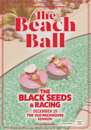 The Beach Ball - The Old Packhouse | Kerikeri