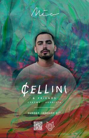 CELLINI & FRIENDS photo