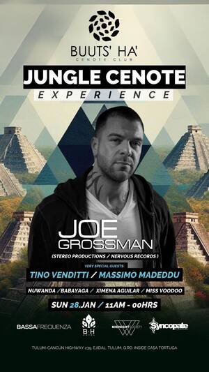 Jungle CENOTE Experience - Joe Grossman (STEREO/Nervous Records)