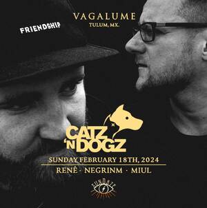 VAGALUME SUNDAZE CATZ'N DOGZ