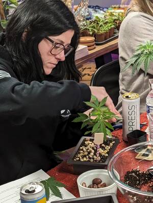 Bonsai Bakery 101 - CatTalpa Manor