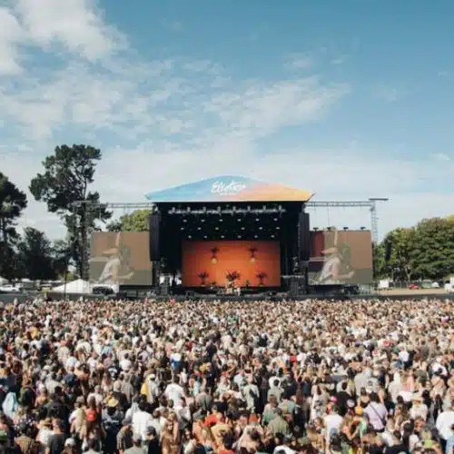 Music Festivals You Should Attend in New Zealand (2026-2027)