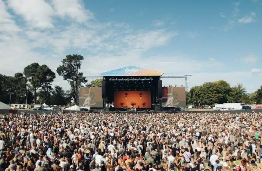 Music Festivals You Should Attend in New Zealand (2026-2027)